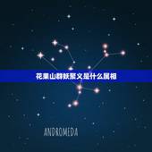 花果山群妖聚义是什么属相，花果山群妖聚义，黑松林三逢魔是什么生肖