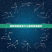 属蛇和属鼠生什么属相宝宝最好，属蛇和属鼠生个属什么的宝贝好