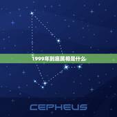 1999年到底属相是什么，1999年属相是什么