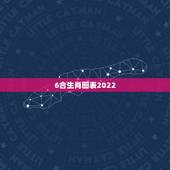 6合生肖图表2022，免费生辰八字五行分析