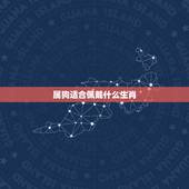 属狗适合佩戴什么生肖，属狗的适合佩戴貔貅吗