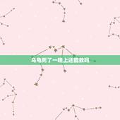 乌龟死了一晚上还能救吗，乌龟死了1天，能救活吗？