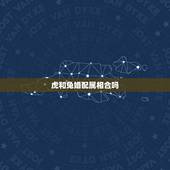 虎和兔婚配属相合吗，女虎和兔男相配吗？