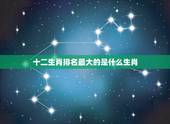 十二生肖排名最大的是什么生肖，排名生肖它最大，是十二生肖个那个