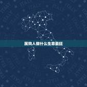 属狗人做什么生意最旺，82年属狗人选择店铺朝哪好