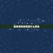 属兔电视背景墙什么更佳，属兔客厅适合挂什么画