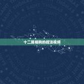 十二属相狗的捏法视频，十二生肖的捏法