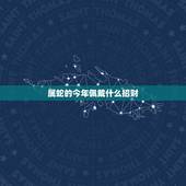 属蛇的今年佩戴什么招财，属蛇的佩戴什么吉祥物