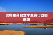 男狗生肖和女牛生肖可以婚配吗，属狗的男生和属牛的女生婚姻相配吗？
