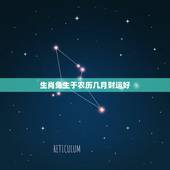 生肖兔生于农历几月财运好，属兔男哪个时辰出生好
