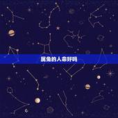 属兔的人命好吗，属兔的过了34岁就顺了