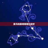 属马和属啥婚姻比较好，属马的人婚姻最宜配什么生肖