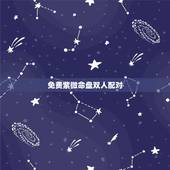 免费紫微命盘双人配对，请问以下两个紫薇命盘的两个人相配吗？