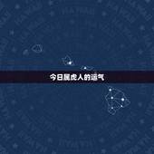 今日属虎人的运气，属马的今天运气怎么样财运怎么样