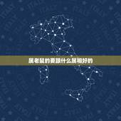 属老鼠的要跟什么属相好的，女属龙和属鼠生什么属相好