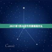 2021年1月26日今天属相是什么，预产期在2021年1月份，孩子属相
