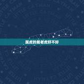 属虎的戴老虎好不好，属虎的女人千万不能娶