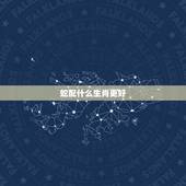 蛇配什么生肖更好，蛇配什么生肖