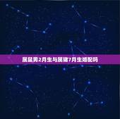 属鼠男2月生与属猪7月生婚配吗，属鼠和属猪能合婚吗？