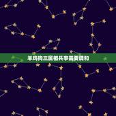 羊鸡狗三属相共事需要调和，鸡狗属相不合吗？