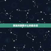 属鼠的跟属什么的最合适，属鼠的女孩子和什么属相最适合？