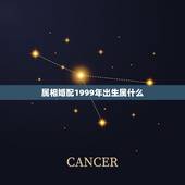 属相婚配1999年出生属什么，1999年出生人适合的配偶