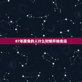 87年属兔的人什么时候开始走运，96鼠和95猪属相合不合