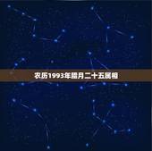 农历1993年腊月二十五属相，生肖属相是按阴历算.还是按阳历算
