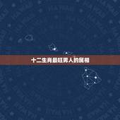 十二生肖最旺男人的属相，十二生肖哪个属相最好？