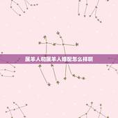 属羊人和属羊人婚配怎么样啊，属羊和属羊的人相配吗？