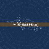 2022属牛男宝宝小名大全，男孩子小名大全2022 属牛