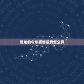 属龙的今年感情运势怎么样，2022 年属龙人的婚姻感情运势