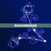 寅时出生的属虎女命相，寅时出生的女孩命更好