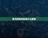 属马的桃花劫是什么属相，78年属马女性2021年下半年会与哪个属相男生