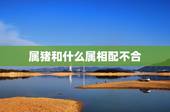 属猪和什么属相配不合，属猪和什么属相最配？和什么属相不配？