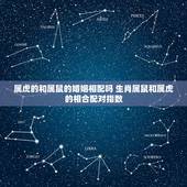 属虎的和属鼠的婚姻相配吗 生肖属鼠和属虎的相合配对指数