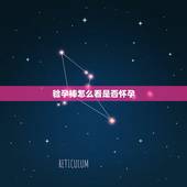验孕棒怎么看是否怀孕，测了两次验孕棒这样的显示，是怀孕了吗，要到医院怎