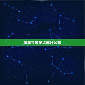 属羊今年多大属什么命，属虎的今年多大