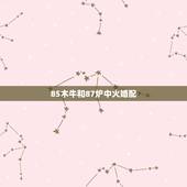 85木牛和87炉中火婚配，木牛命和炉中火命的夫妻和吗