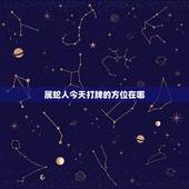 属蛇人今天打牌的方位在哪，属蛇人今天的财神方位在哪