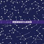 男属相兔和什么配更佳，男兔和什么生肖最配婚