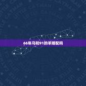 66年马和91的羊婚配吗，66年出生的马与79年出生的羊婚姻相配美满幸