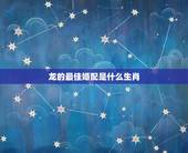 龙的最佳婚配是什么生肖，女生属龙的和什么属相最配，女性属龙的属相婚配表