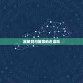 属相狗与属猪的合适吗，属猪和属狗相配吗？