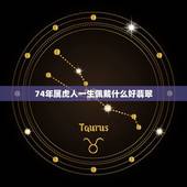 74年属虎人一生佩戴什么好翡翠(提升运势保平安)