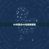 85年属合95年属猪婚配，85年属牛的和95属猪结婚可以吗