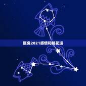 属兔2021感情和桃花运，75年属兔男2021年后的婚姻