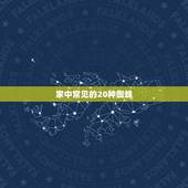 家中常见的20种蜘蛛，家中最常见的蜘蛛是什么