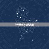 今年属兔的运气如何，属兔今天运势及运程
