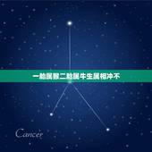 一胎属猴二胎属牛生属相冲不，属猴和属牛生什么属相的孩子